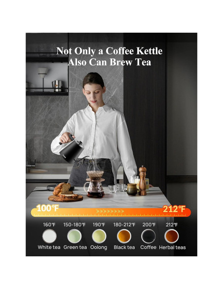 Hervidor Eléctrico KLEAH Cuello de Ganso 0.8L Control Temperatura