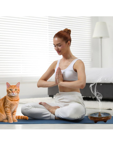 Soporte de Incienso de Cerámica PDDYIER Redondo 13cm Azul