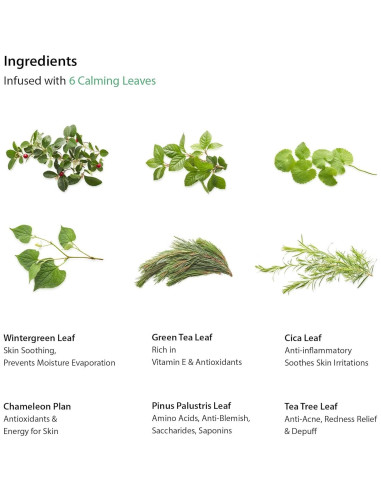 Conjunto de Cuidado de Piel Blithe para Piel Sensible - 3 Productos