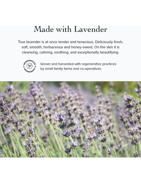 Gel Limpiador de Árbol de Té evanhealy 113g - Piel Normal y Grasa