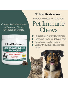 Masticables Inmunológicos Real Mushrooms para Perros y Gatos - 60 Unidades 2