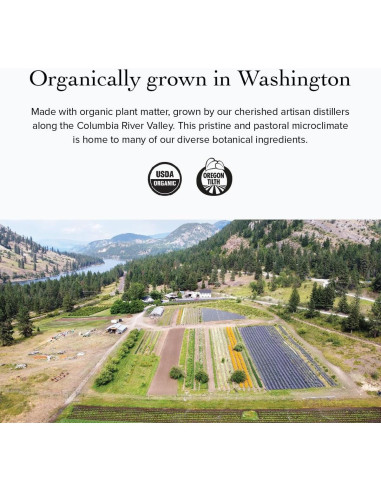 Tónico Facial Orgánico Evanhealy Inmortal HydroSoul 113ml