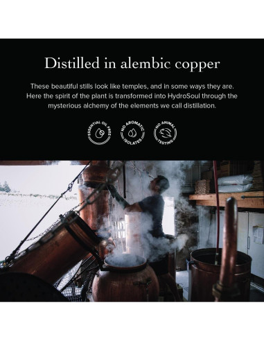 Tónico Facial Orgánico Evanhealy Inmortal HydroSoul 113ml