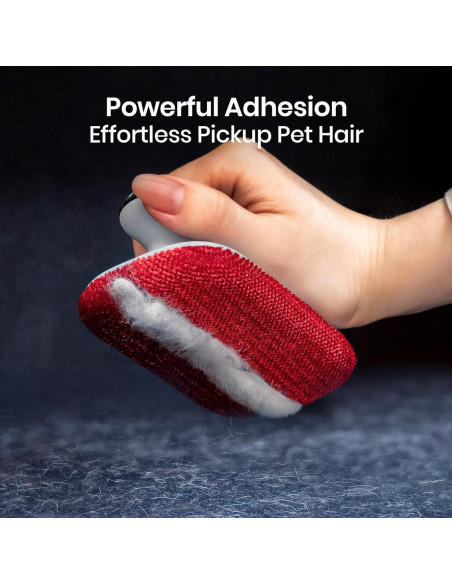 DELOMO Removedor de Pelo de Mascota para Auto 12x7 cm