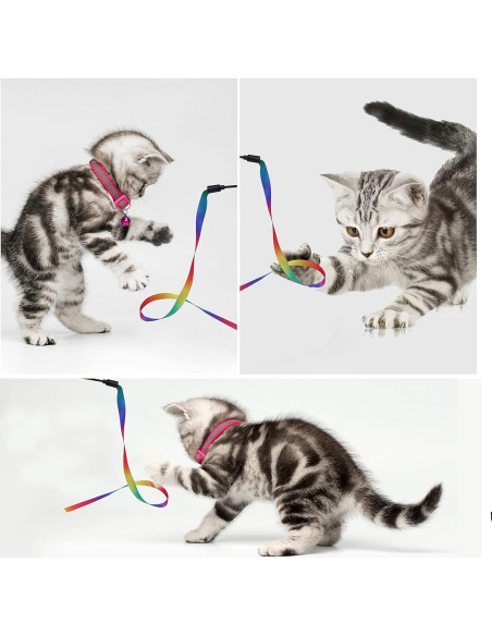 Varita Interactiva para Gatos Molain - 5 Juegos de Cinta Colorida
