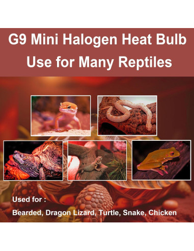 Bombillas de Calor G9 Halógenas 50W para Reptiles - Paquete de 2