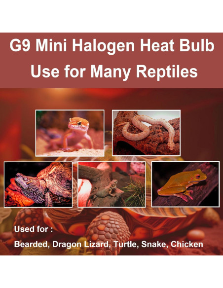 Bombillas de Calor G9 Halógenas 50W para Reptiles - Paquete de 2