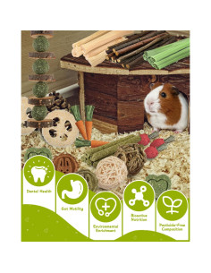 40 Juguetes Naturales para Conejos Kagoty - Cuidado Dental 2