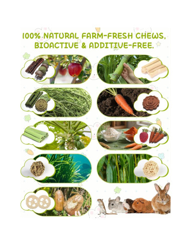 40 Juguetes Naturales para Conejos Kagoty - Cuidado Dental