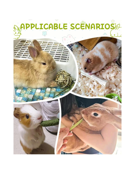 40 Juguetes Naturales para Conejos Kagoty - Cuidado Dental