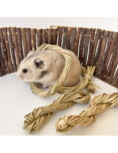 Golosinas Naturales para Masticar DEMONTALK 6PCS para Roedores