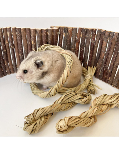 Golosinas Naturales para Masticar DEMONTALK 6PCS para Roedores