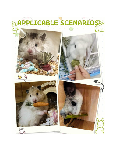 40 Juguetes Naturales para Conejos Kagoty - Cuidado Dental