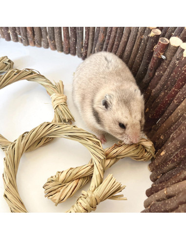 Golosinas Naturales para Masticar DEMONTALK 6PCS para Roedores