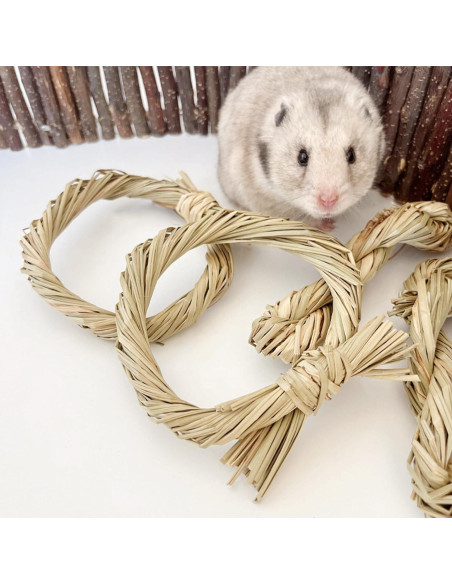 Golosinas Naturales para Masticar DEMONTALK 6PCS para Roedores