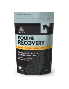 Suplemento Articular Equino PURICA Ácido Hialurónico 1kg