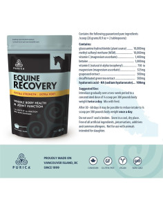 Suplemento Articular Equino PURICA Ácido Hialurónico 1kg 2