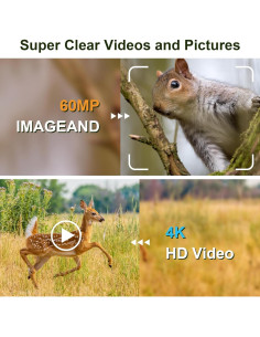 Cámara de Caza ReeMoo 4K 60MP WiFi IP66 Visión Nocturna 2