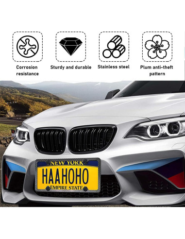 Kit de Tornillos Antirrobo para Placas de Licencia Povtii