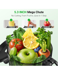 Exprimidor de Prensa Fría Aeitto Max5 1.7L Negro 250W 2