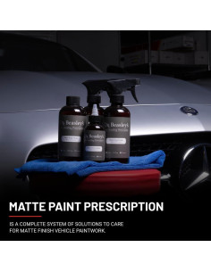 Kit de Detalle de Pintura Mate Dr. Beasley 4 Piezas 1183.5 ml 2