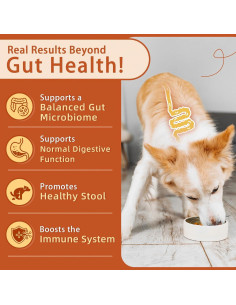 Probioticos para Perros ZEBORA 120 Masticables Sabor Calabaza 2