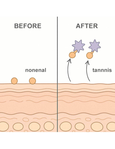 Jabón de Persimón Sam Diary 100g Hidratante para Piel