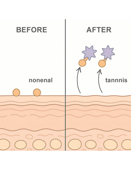 Jabón de Persimón Sam Diary 100g Hidratante para Piel