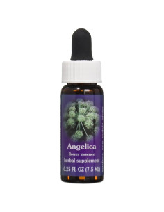Esencia Floral Ángelica 7.4ml Flower Essence Services