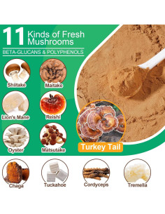 Suplemento en Polvo de Champiñones para Perros y Gatos - 120g 2