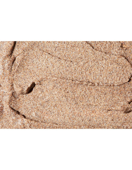 Exfoliante Espumoso LATHER de Bambú y Hierba de Limón 227g