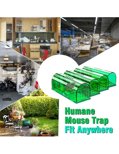 Trampas Humanas para Ratones Wanqueen 4 Pcs Reutilizables
