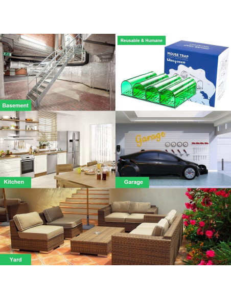 Trampas Humanas para Ratones Wanqueen 4 Pcs Reutilizables