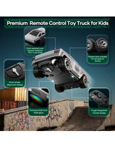 Coche de Control Remoto Hometall 2423 Camión RC 1/24 Plata 2