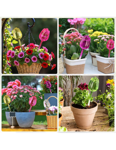 Esferas de Riego Automático 6 Pack - Vidrio para Plantas