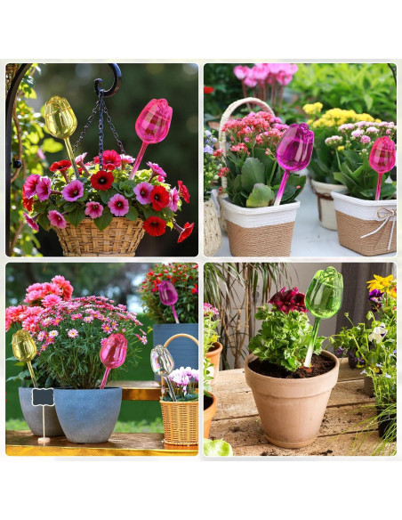 Esferas de Riego Automático 6 Pack - Vidrio para Plantas