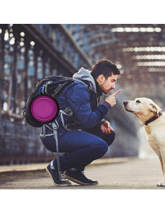 Tazones Plegables para Perros Guardians 34oz 2 Piezas Púrpura y Rojo 2