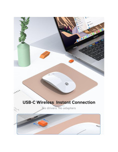 RAPIQUE R306C Ratón Inalámbrico USB-C Blanco, Silencioso, 3 DPI 2