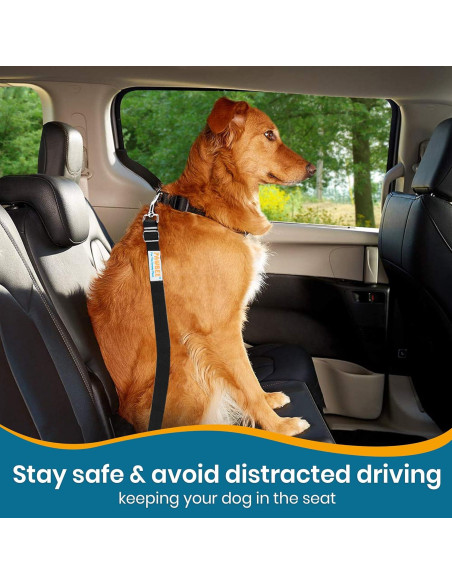 Cinturones de Seguridad para Perros PAWBEE - 2 Pack Ajustable