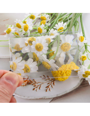 Lupa de Tarjeta de Crédito InnoHHustle 3X - 10 Piezas Portátil