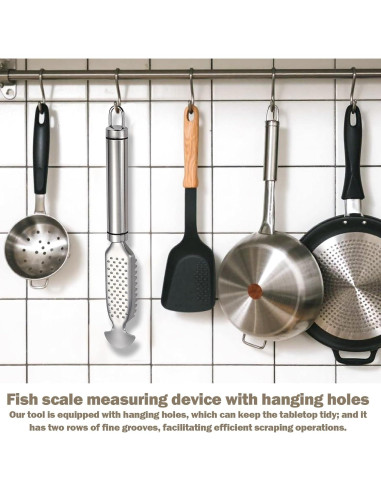 Escalador de Pescado Acero Inoxidable Gyinere 23cm