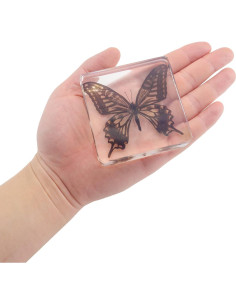Juego de 4 Especímenes de Mariposas en Resina EJLIFEBOX 2
