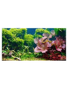 Fondo de Acuario 120x45 cm AWERT Plantas Acuáticas HD