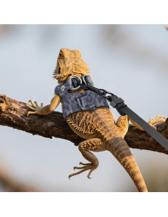 Arnés y Correa Ajustable AIITLE para Dragón Barbudo - 3 Tamaños 2