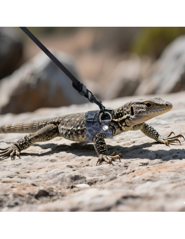 Arnés y Correa Ajustable AIITLE para Dragón Barbudo - 3 Tamaños