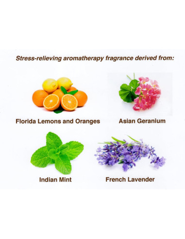 Loción Orgánica After Sun y Extensor de Bronceado BRONZO SENSUALE 295g