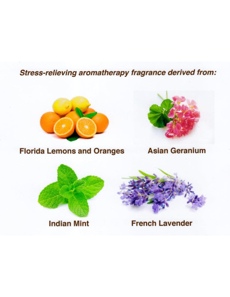 Loción Orgánica After Sun y Extensor de Bronceado BRONZO SENSUALE 295g