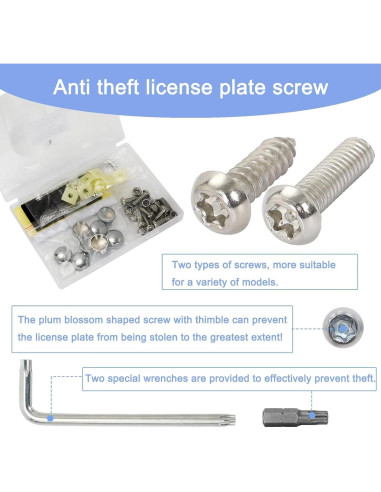 Tornillos de Placa de Matrícula Antirrobo M6 Acero Inoxidable