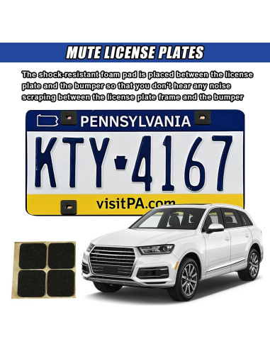 Kit de Tornillos Antirrobo DUSCOKE para Placas de Licencia 4 Pzas