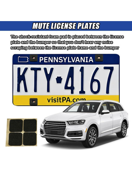 Kit de Tornillos Antirrobo DUSCOKE para Placas de Licencia 4 Pzas